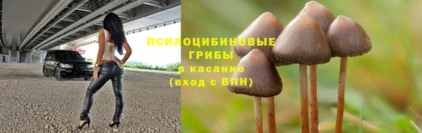 не бодяженный Абинск