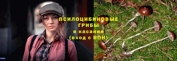 марки lsd Абаза