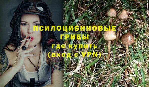 не бодяженный Абинск