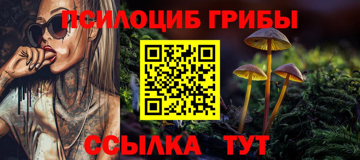 Галлюциногенные грибы GOLDEN TEACHER Егорьевск